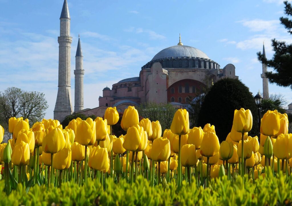 Lale Festivali ve Emirgan Parkı Lale Festivali ve Emirgan Parkı